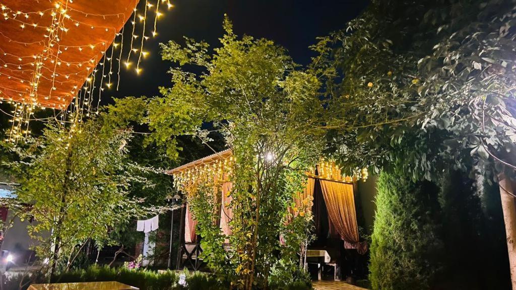 Green House Eco Hotel Samarkand Ngoại thất bức ảnh